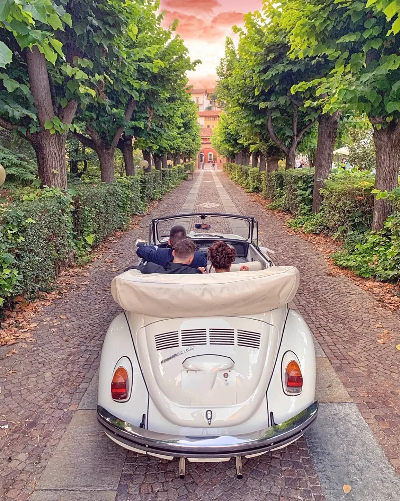 Sposi in arrivo su un'auto d'epoca lungo il viale alberato di Villa Balbiano